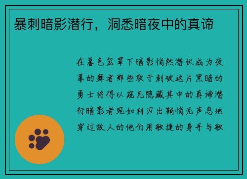 暴刺暗影潜行，洞悉暗夜中的真谛
